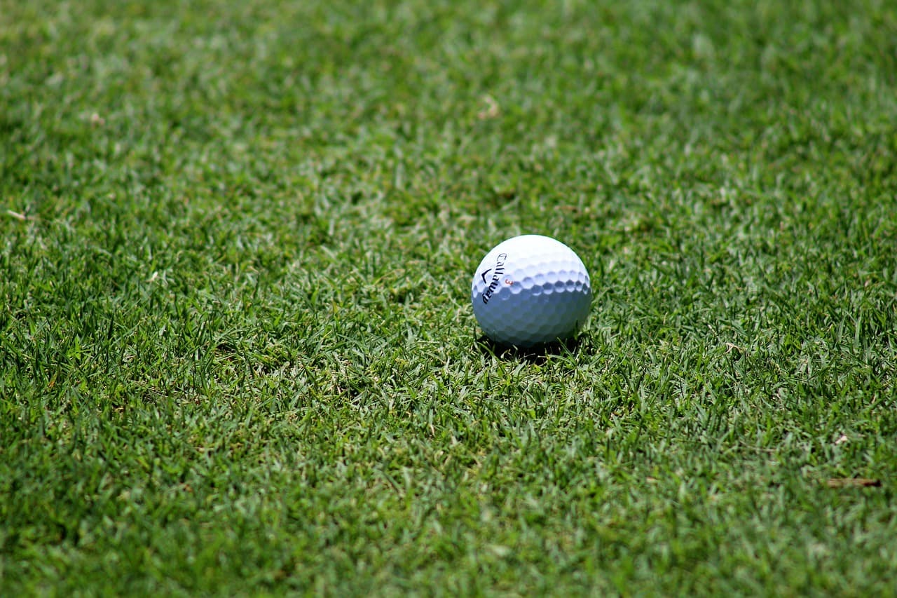 golf ball on grass